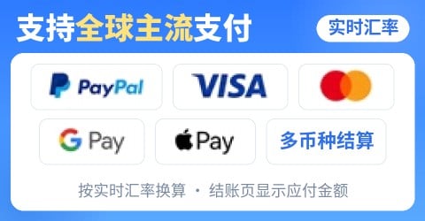 支持PayPal、Visa、Mastercard、Google Pay、Apple Pay等全球主流支付，实时汇率