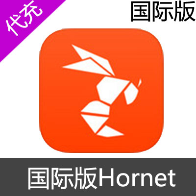 国际版 Hornet 会员充值