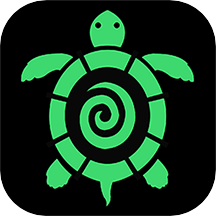 海龟汤 海龟币充值