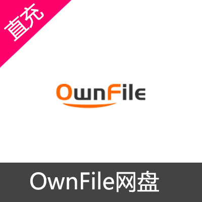 OwnFile网盘VIP会员1年